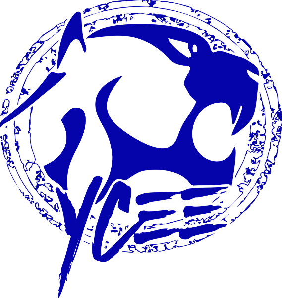 Blue Design with Jaguar Face and YCEE